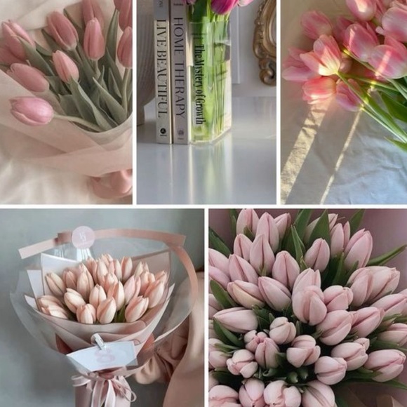 Meet The Posher🫶🏻 - Picture 3 of 7